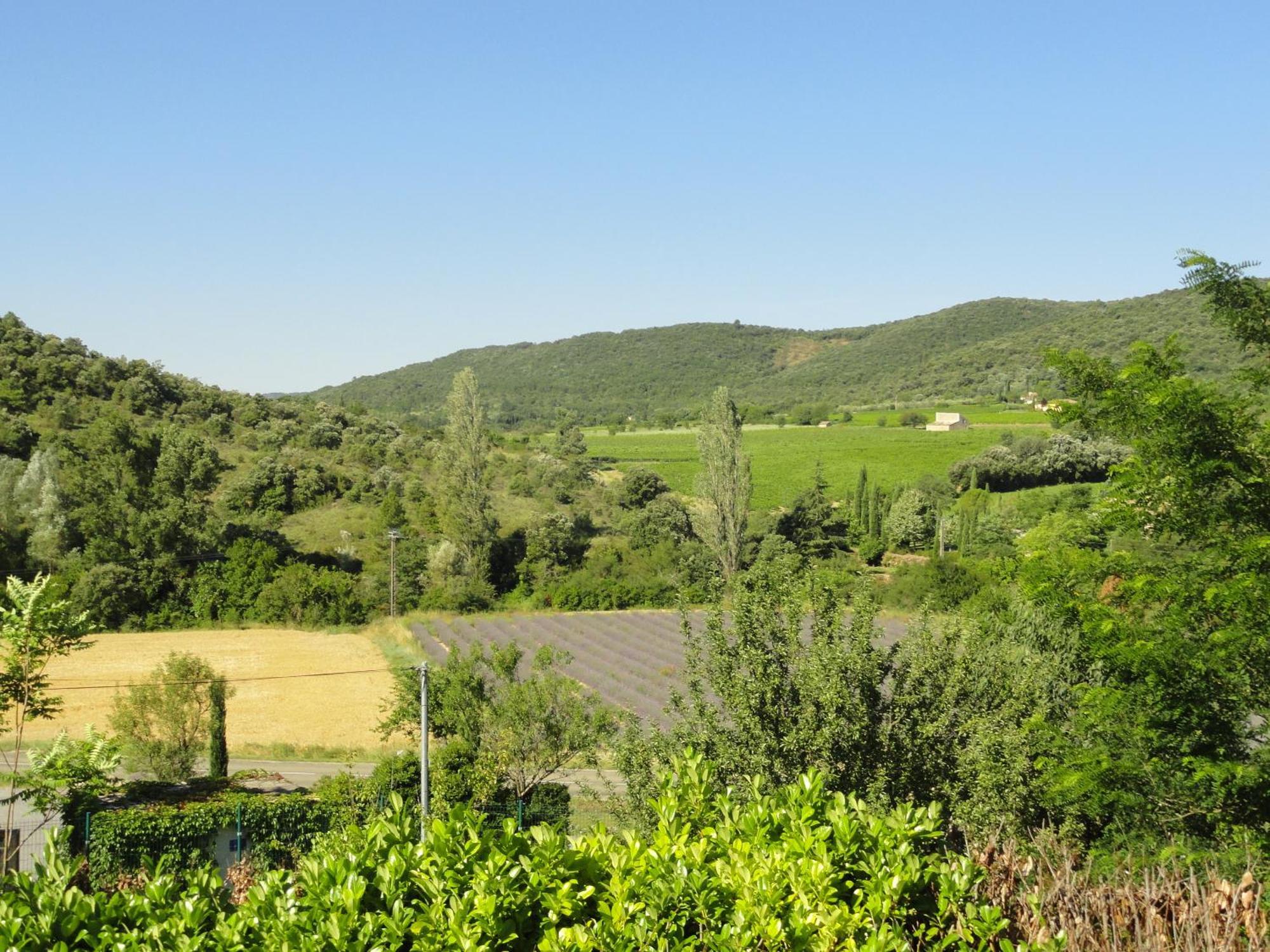 Les Lauriers Roses Vallon Pont D'Arc Lagorce  Exterior foto